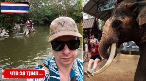 🇹🇭 Паттайя: Деревня слонов и местные окрестности 🇹🇭