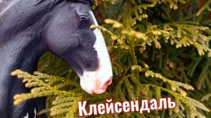 Клип "Клейсендаль"