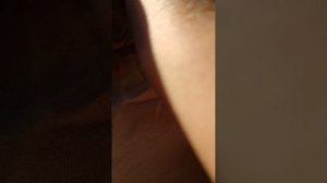 Сборка воздушного транспорта N1 самолёт