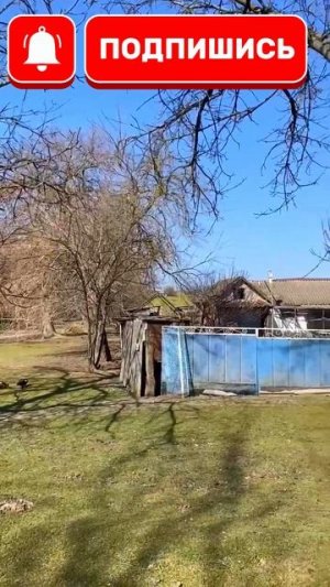 🏡Успей приобрести !📋  67.3 м2 50 соток  💰1 950 000 ₽ 📍х.Куликовский📲 8 924 540 49 92 🌴