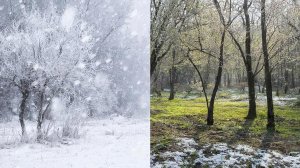 последний зимний