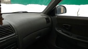 Грызуны поворотника