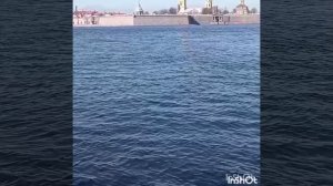 Видеосюжет
"В Санкт-Петербурге весна уже полноправная хозяйка!"🌞