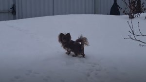 Весна пришла и на север!!!!