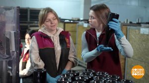 Крым. Зачем винограду страдать? Доброе утро. Суббота. Фрагмент выпуска от 21.03.2026