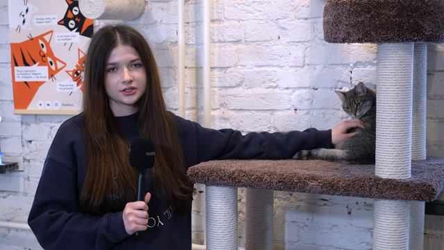 Как преодолеть стресс?
