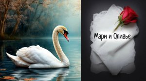 "Мари и Оливье". Буктрейлер