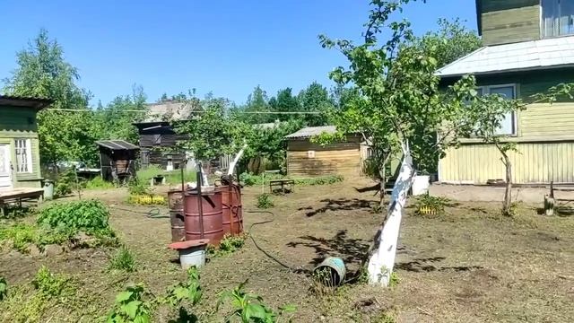 59-Дача.первые Огурчики.. 😍02.07.22.