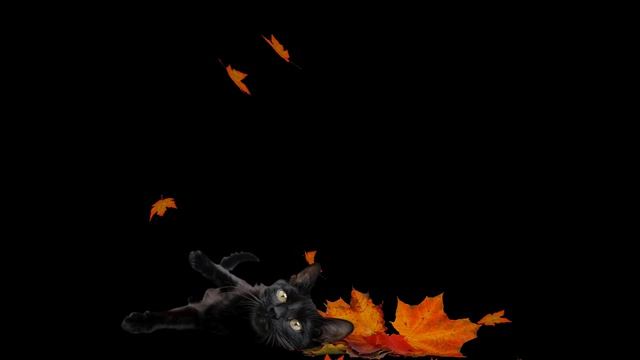 Сухие и шуршат. Шуршание сухих листьев