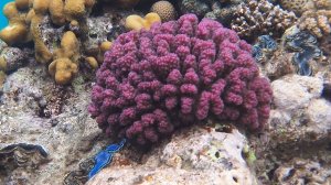 ЕГИПЕТ 26 первая часть