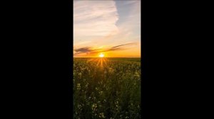 Если в вашей дате есть эта цифра - Весна изменит вашу жизнь.