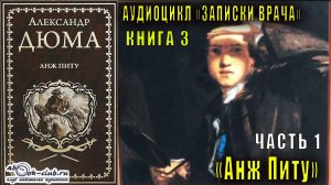 Александр Дюма "Записки врача" книга 3 "Анж Питу" часть 1