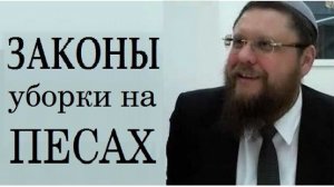 Песах - законы уборки на Песах и проверки хамца. Рав Хаим Бриск 2026