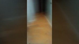 а мы гуляем