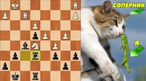 ШАХМАТЫ БЛИЦ. ДАЖЕ ЕСЛИ ПОЗИЦИЯ БАРАХЛО И ВРЕМЕНИ НЕТ-БОРИСЬ ДО КОНЦА И УДАЧА УЛЫБНЕТСЯ