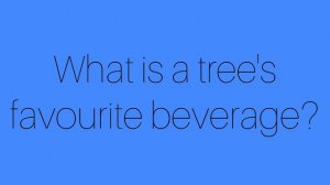 Шутка 67 Joke 67