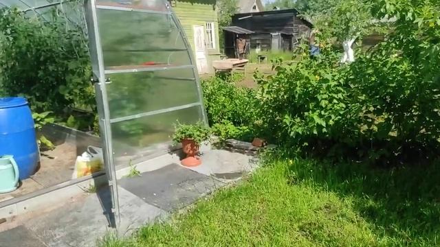 61-Дача..Пионы..Розы.05.07.22