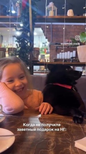 Я обиделась 😌))