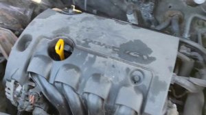 video_2026-03-21_11-38-55