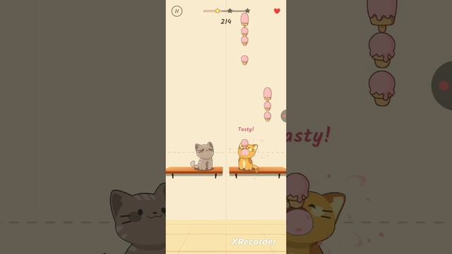 Игра с котиками