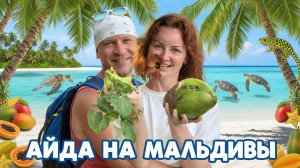 Айда на Мальдивы! Остров Тодду 2026