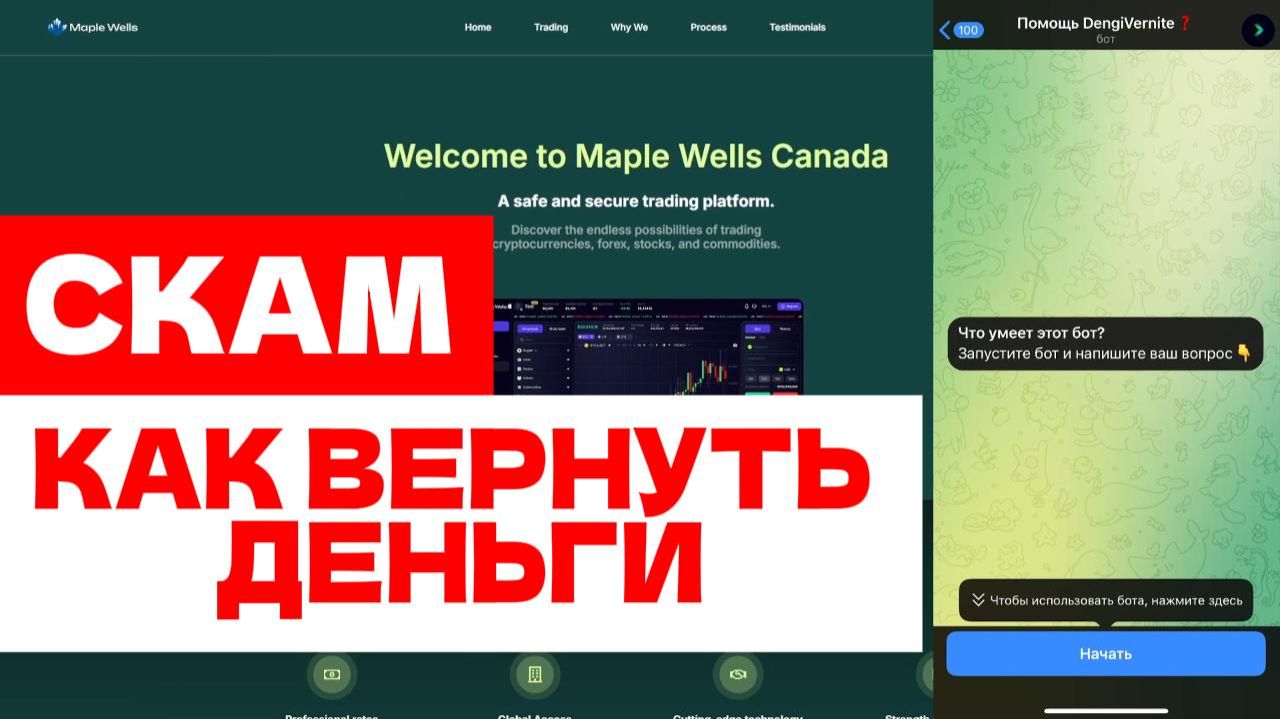 Maple Wells Canada (platform.maplewellscanada.trade) обзор, отзывы. Развод?