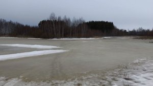 21-03-2026 Вечер в СНТ 4