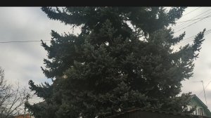 ПЕРЕИМЕНОВЫВАЮ КАНАЛ💯КОНКУРС☝️ НА ЛУЧШЕЕ НАЗВАНИЕ ❗В МЕНЯ ИЛИ ПЛЮНУЛИ🫢🤣 ИЛИ СГЛАЗИЛИ🤔🤣🤣