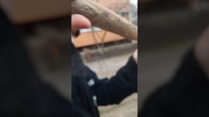 наш трейлер из стандофф 2 из обновление 9 лет