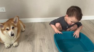 Отмываем собачку 🐶 Часть 2 и 3