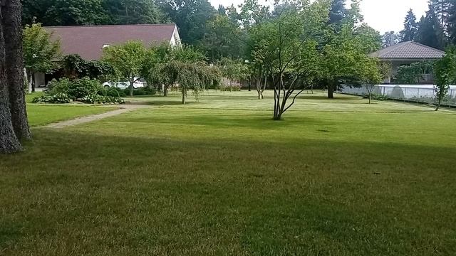 сад_1.mp4