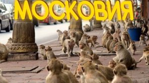 ПРИКОЛЫ ОТ ЧЕЛОЗАВРА 2026 / МОСКОВИЯ / СМЕШНЫЕ ВИДЕО / МЕМЫ