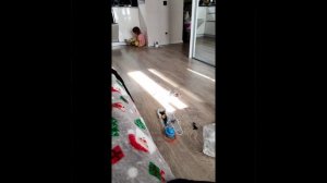 lv_0_20260322133452.mp4