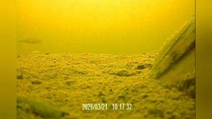 Будет ли клевать щука на жерлицы.