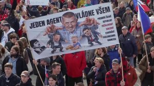 В Чехии прошел самый масштабный антиправительственный митинг за последние семь лет.