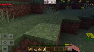 история о том как мы нашли на заброшке картун кэта cartoon cata