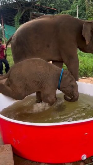 Водные процедуры