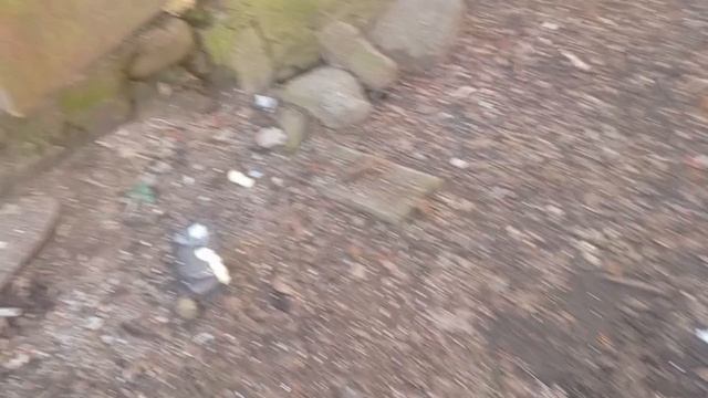 дгш 10 сезон 1 серия: пробуждение