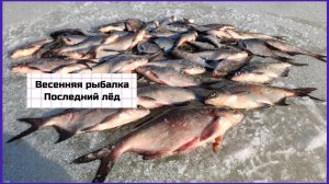 Весенняя рыбалка. Последний лёд