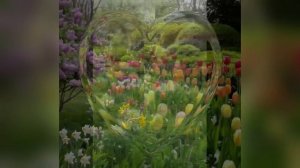 Весна.Релакс