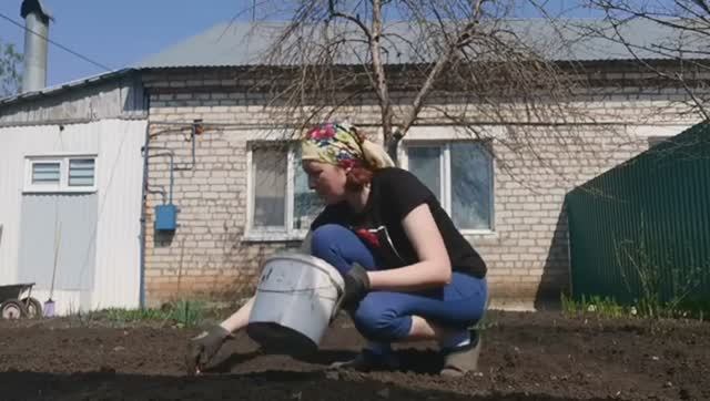Выходной в огороде. Поехали за цветами. а купили шелковицу._01_мая_2023