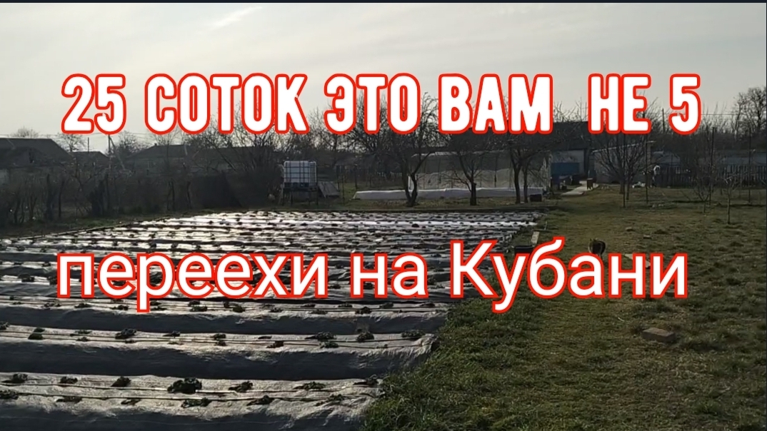 207🏡 25 соток есть где разгуляться