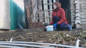 Все планы нарушены. 17.04.2023 Хроника.