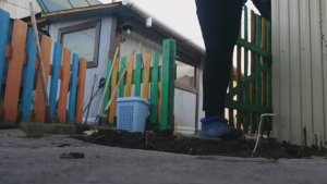 Создаём_уют_в_огороде_куда_понесло_кошку_Элечку  19.04.2023