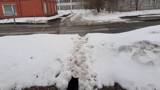 Здесь тоже надо все проверить, обнюхать.