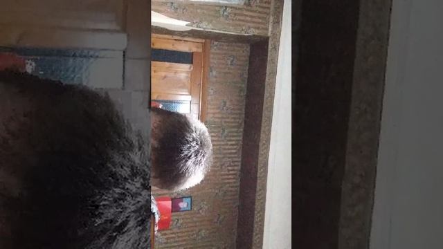 Книгочтение