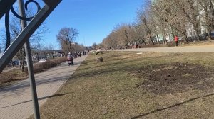 Прогулялась. Погода замечательная!