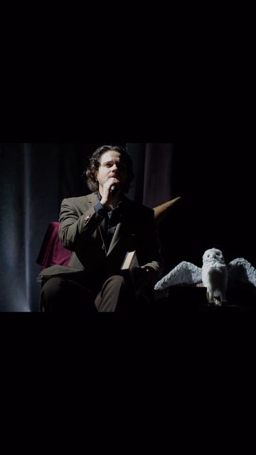 NELLA MUSICA ORCHESTRA «Гарри Поттер»