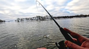 Одна ПРИМАНКА сделала РЫБАЛКУ! Ловля ХИЩНИКА на Москва-реке!