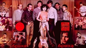 Вокально - инструментальный ансамбль -   Арника!